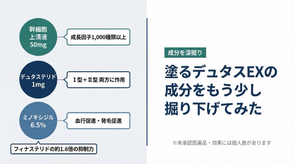 塗るデュタスEXの主要成分分析|デュタステリド1mg・幹細胞培養上清液50mg・ミノキシジル6.5%の働きを図解(※未承認医薬品・効果には個人差)